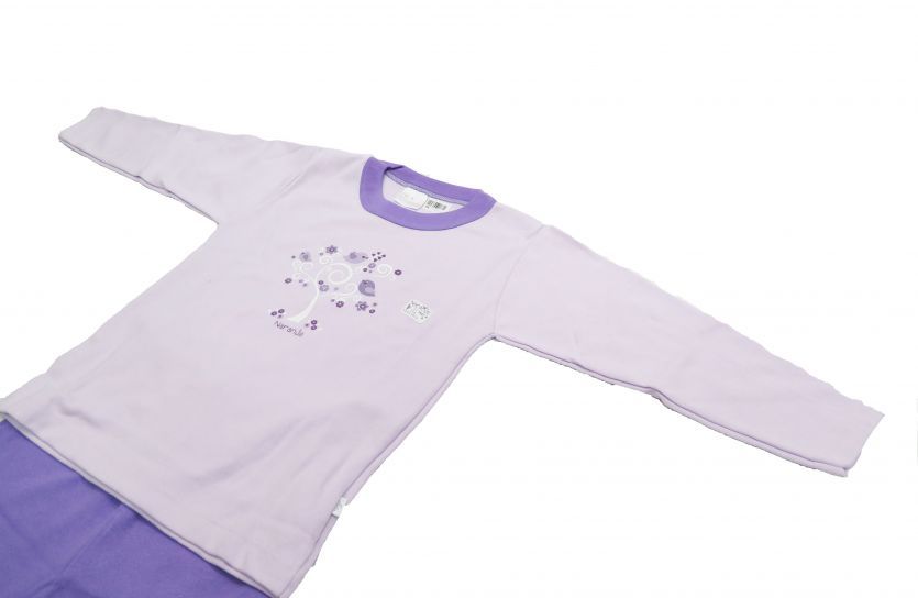 Pijama Invierno Remera Manga Larga Estampado Pajaros y Pantalon Liso