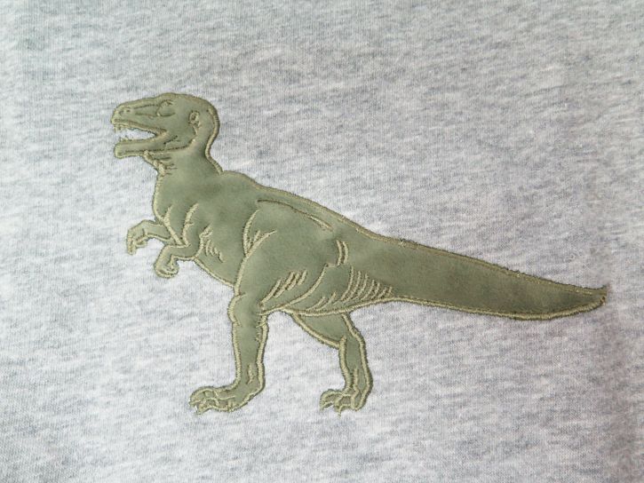 Buzo Friza con aplique Dinosaurio